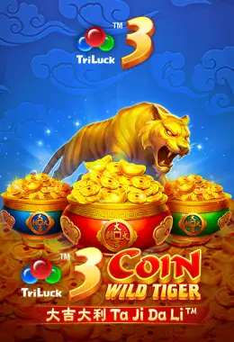 Cash Boom Casino Slot 4